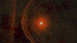 Betelgeuses enigmatic environment